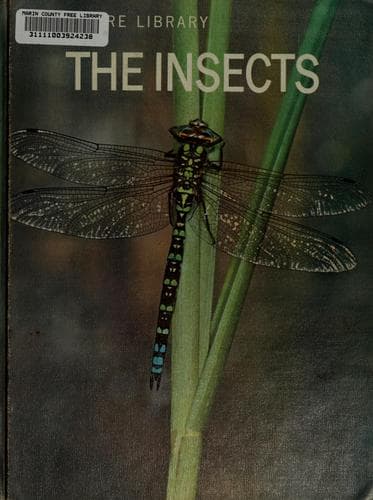 Tapa de The insects