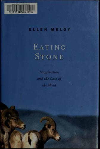 Tapa de Eating stone
