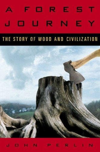 Tapa de A Forest Journey