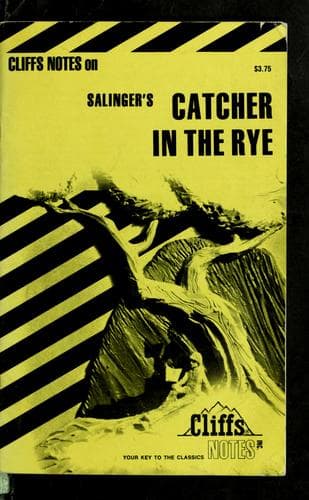 Tapa de Catcher in the rye