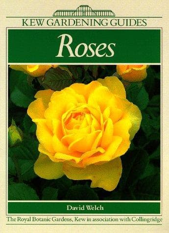 Tapa de Roses