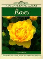 Tapa de Roses