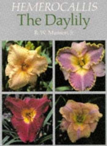 Tapa de Hemerocallis