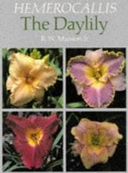 Tapa de Hemerocallis
