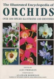 Tapa de The Illustrated encyclopedia of orchids