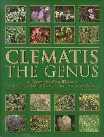 Tapa de Clematis