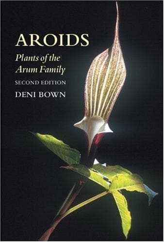 Tapa de Aroids