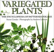 Tapa de Variegated Plants
