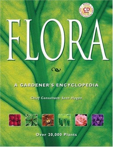 Tapa de Flora