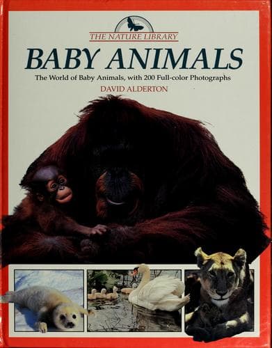 Tapa de Baby animals