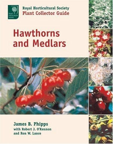 Tapa de Hawthorns and medlars