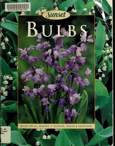 Tapa de Bulbs