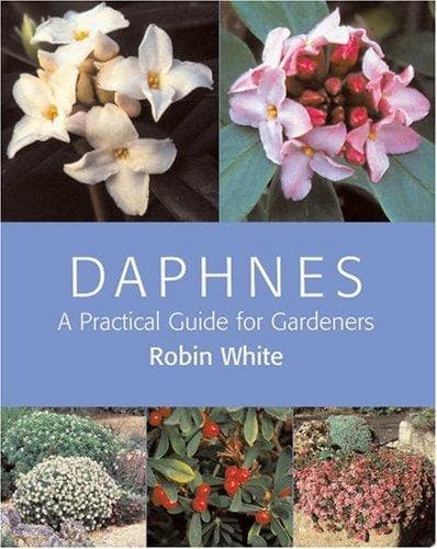 Tapa de Daphnes