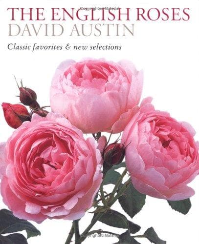 Tapa de The English Roses