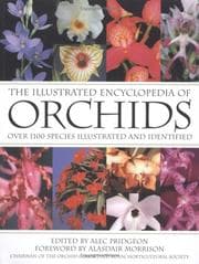 Tapa de The Illustrated Encyclopedia of Orchids