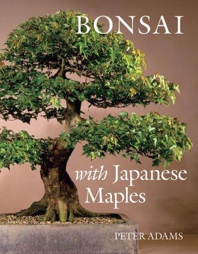 Tapa de Bonsai with Japanese Maples