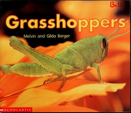 Tapa de Grasshopper
