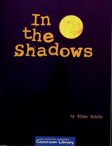 Tapa de In the shadows