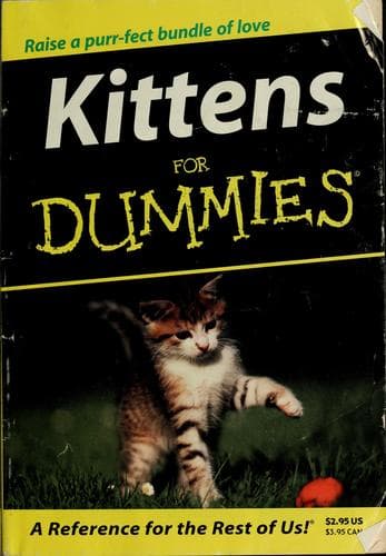 Tapa de Kittens for dummies