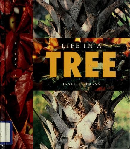 Tapa de Life in a tree