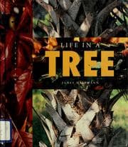 Tapa de Life in a tree