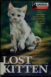 Tapa de Lost kitten