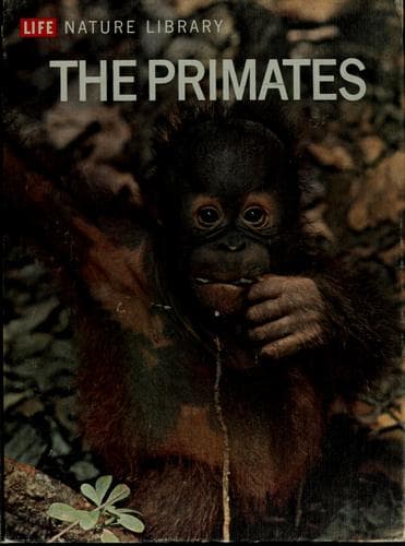 Tapa de The primates
