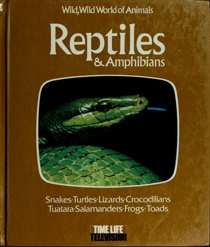 Tapa de Reptiles & amphibians