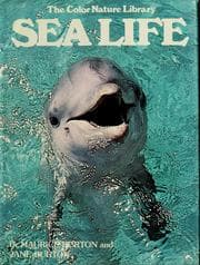 Tapa de Sea life