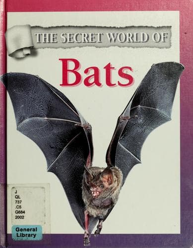 Tapa de Bats