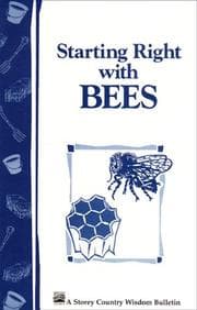 Tapa de Starting Right with Bees