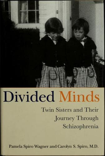 Tapa de Divided minds