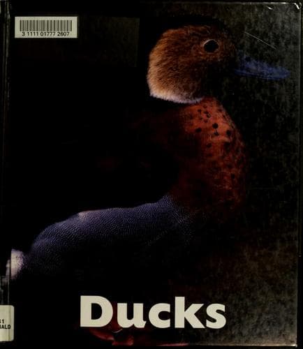 Tapa de Ducks