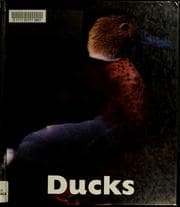 Tapa de Ducks