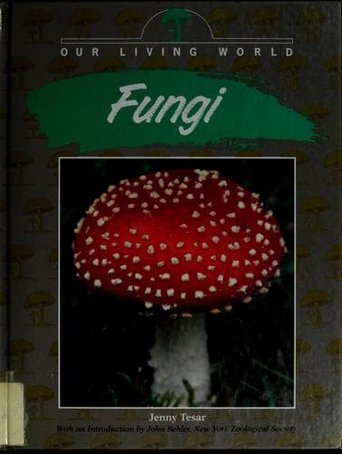 Tapa de Fungi