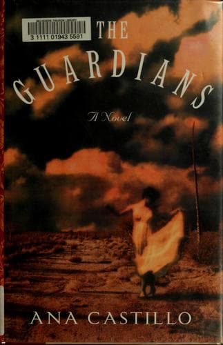 Tapa de The guardians