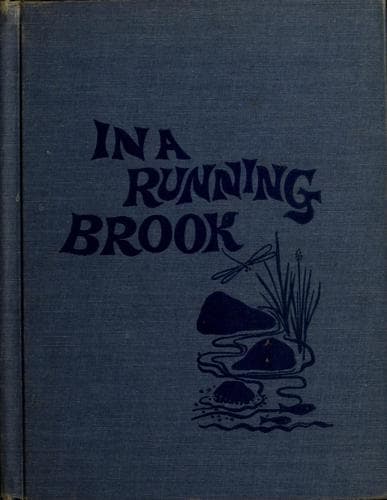 Tapa de In a running brook