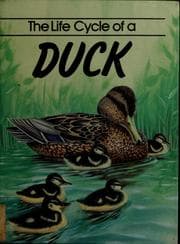Tapa de The life cycle of a duck