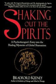 Tapa de Shaking out the spirits