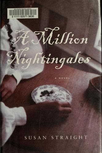 Tapa de A million nightingales