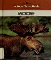 Tapa de Moose