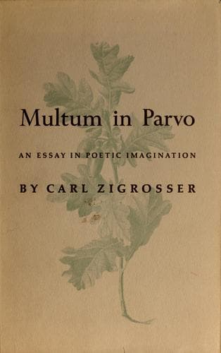 Tapa de Multum in parvo