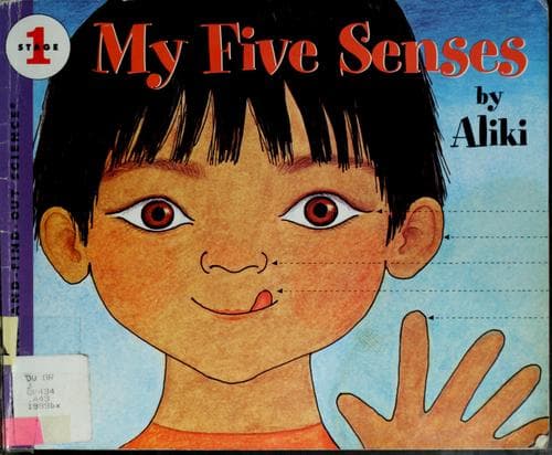 Tapa de My five senses