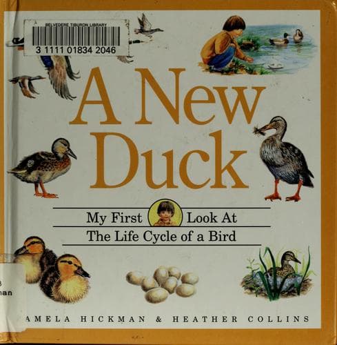 Tapa de A new duck