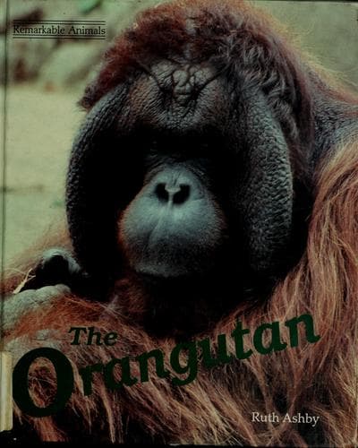 Tapa de The orangutan