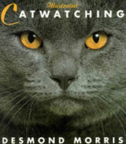 Tapa de Illustrated Catwatching