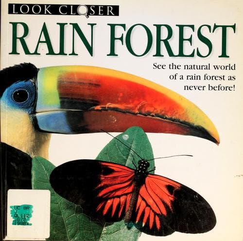 Tapa de Rain forest