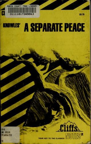 Tapa de A separate peace