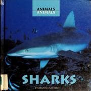 Tapa de Sharks