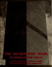 Tapa de The skyscraper book